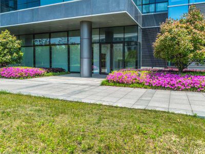 Commercial Lawn Care