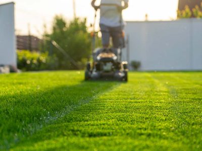 Lawn Care Solutions