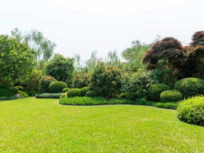 Lawn Maintenance Services