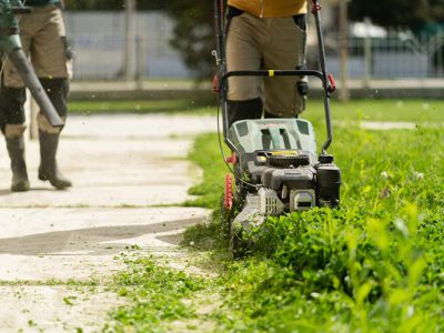 Lawn Mowing Services