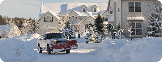 Hauling Service