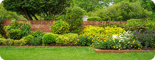 Lawn Care Service
