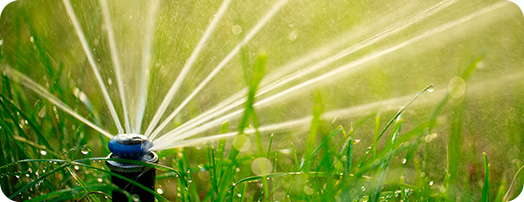 Sprinkler/Irrigation Service